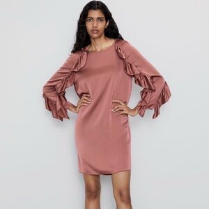 Zara Long Sleeve Ruffled Dress in Mauve